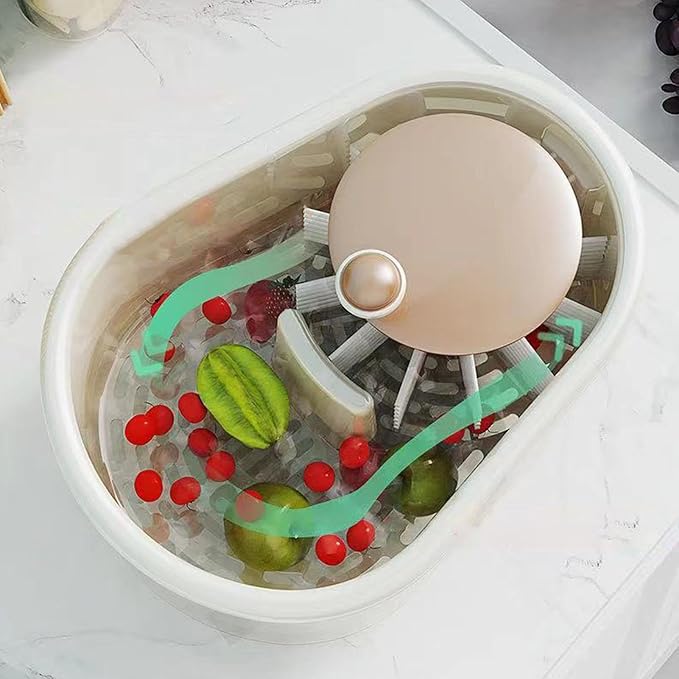 Lavadora de Frutas e Legumes KBN