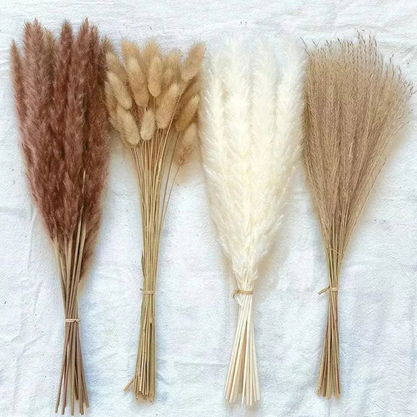 Buquê de Capim dos Pampas Natural para Decoração de Ambientes KBN