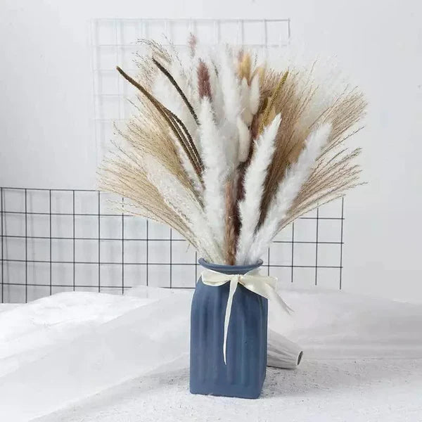 Buquê de Capim dos Pampas Natural para Decoração de Ambientes KBN