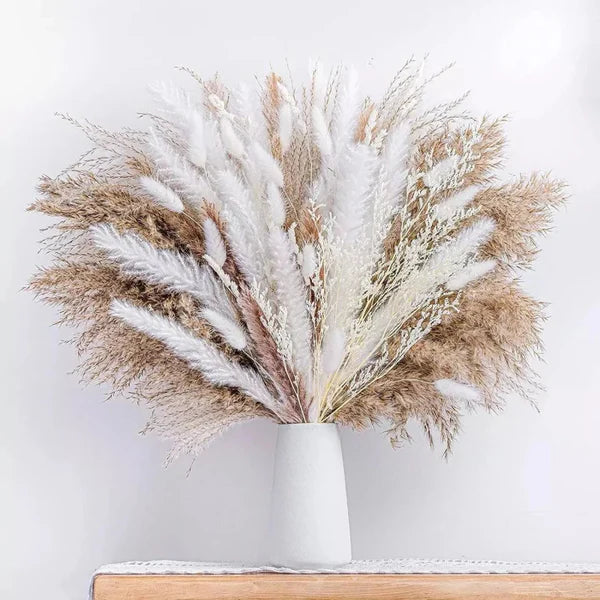 Buquê de Capim dos Pampas Natural para Decoração de Ambientes KBN