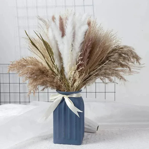 Buquê de Capim dos Pampas Natural para Decoração de Ambientes KBN