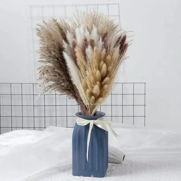 Buquê de Capim dos Pampas Natural para Decoração de Ambientes KBN