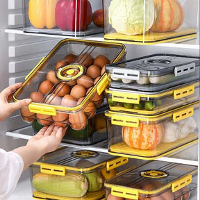 Organizador de Geladeira com Tampa e Marcador de Data KBN