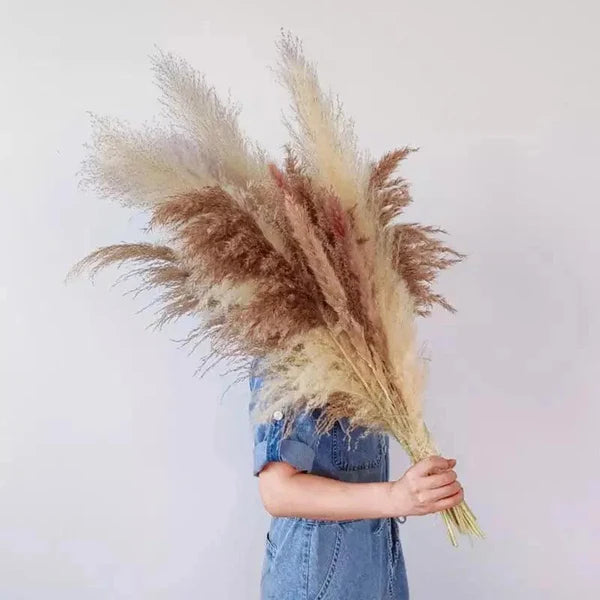 Buquê de Capim dos Pampas Natural para Decoração de Ambientes KBN