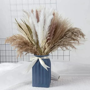 Buquê de Capim dos Pampas Natural para Decoração de Ambientes KBN
