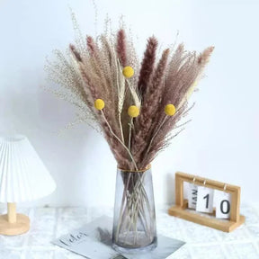 Buquê de Capim dos Pampas Natural para Decoração de Ambientes KBN