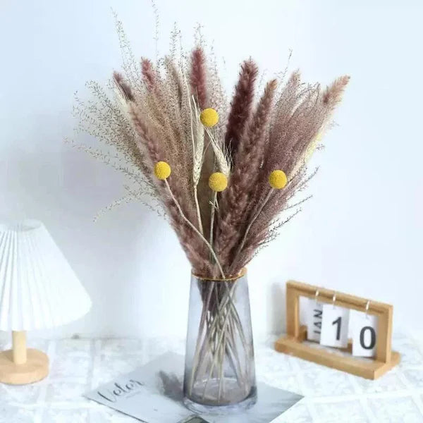 Buquê de Capim dos Pampas Natural para Decoração de Ambientes KBN