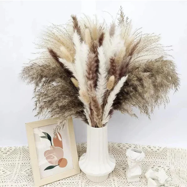 Buquê de Capim dos Pampas Natural para Decoração de Ambientes KBN