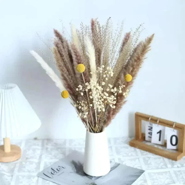 Buquê de Capim dos Pampas Natural para Decoração de Ambientes KBN