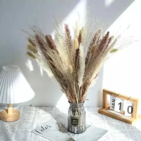 Buquê de Capim dos Pampas Natural para Decoração de Ambientes KBN