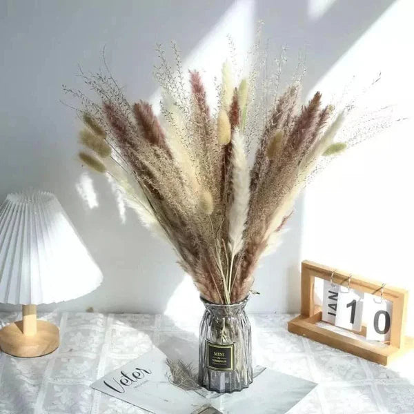 Buquê de Capim dos Pampas Natural para Decoração de Ambientes KBN