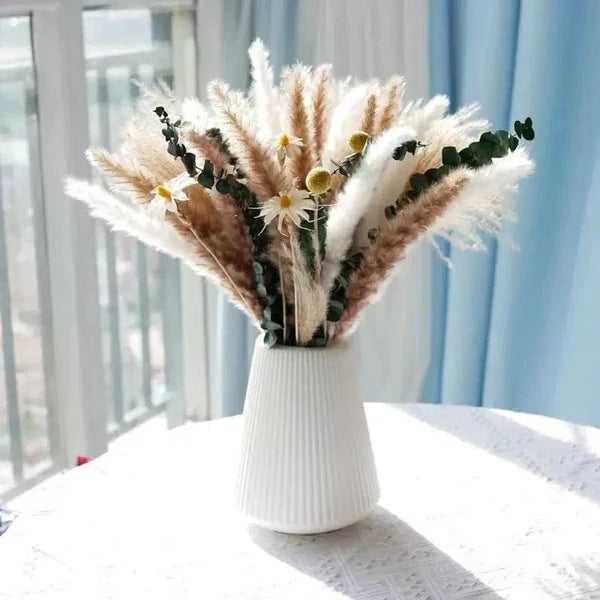 Buquê de Capim dos Pampas Natural para Decoração de Ambientes KBN