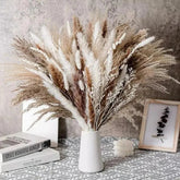 Buquê de Capim dos Pampas Natural para Decoração de Ambientes KBN