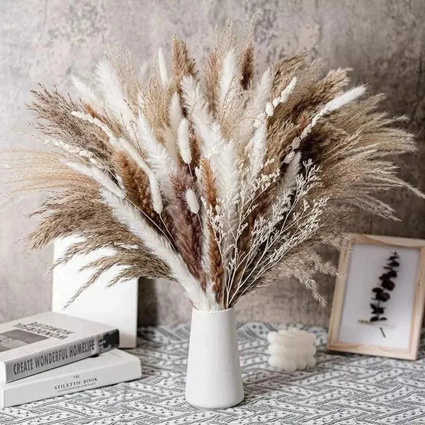 Buquê de Capim dos Pampas Natural para Decoração de Ambientes KBN