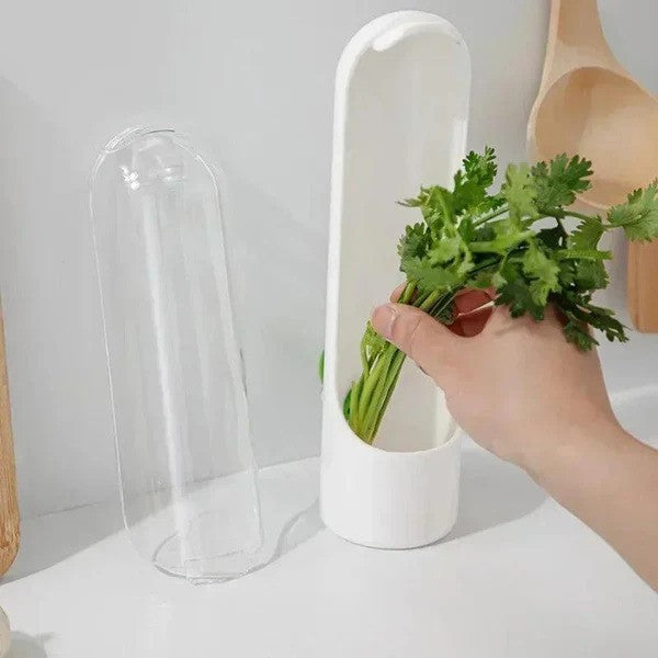 Conservador de Verduras e Temperos KBN